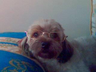 rocco